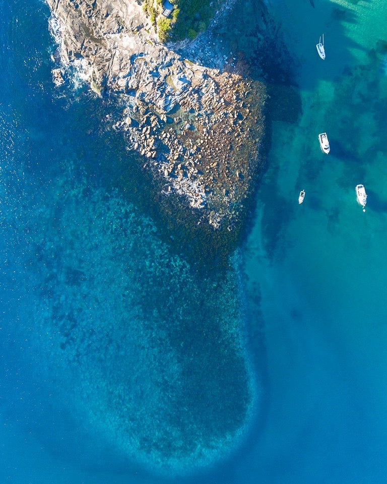 Terrigal Shore dive