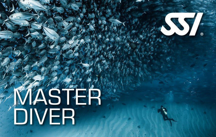 master diver swimming amongst school of jacks