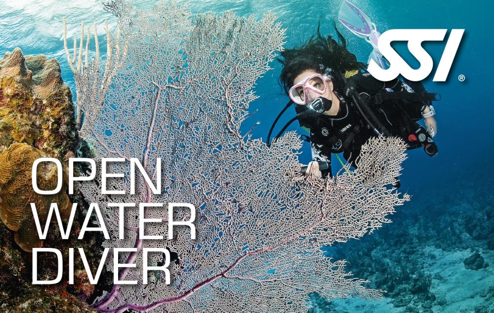 Open Water Scuba Diver Private Course