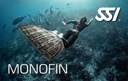Monofin Freediving