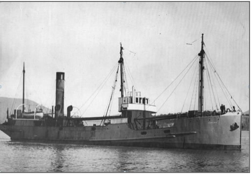 Wreck Dive - SS Kiama