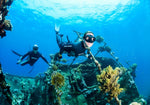 snorkel diver around sunken wreck