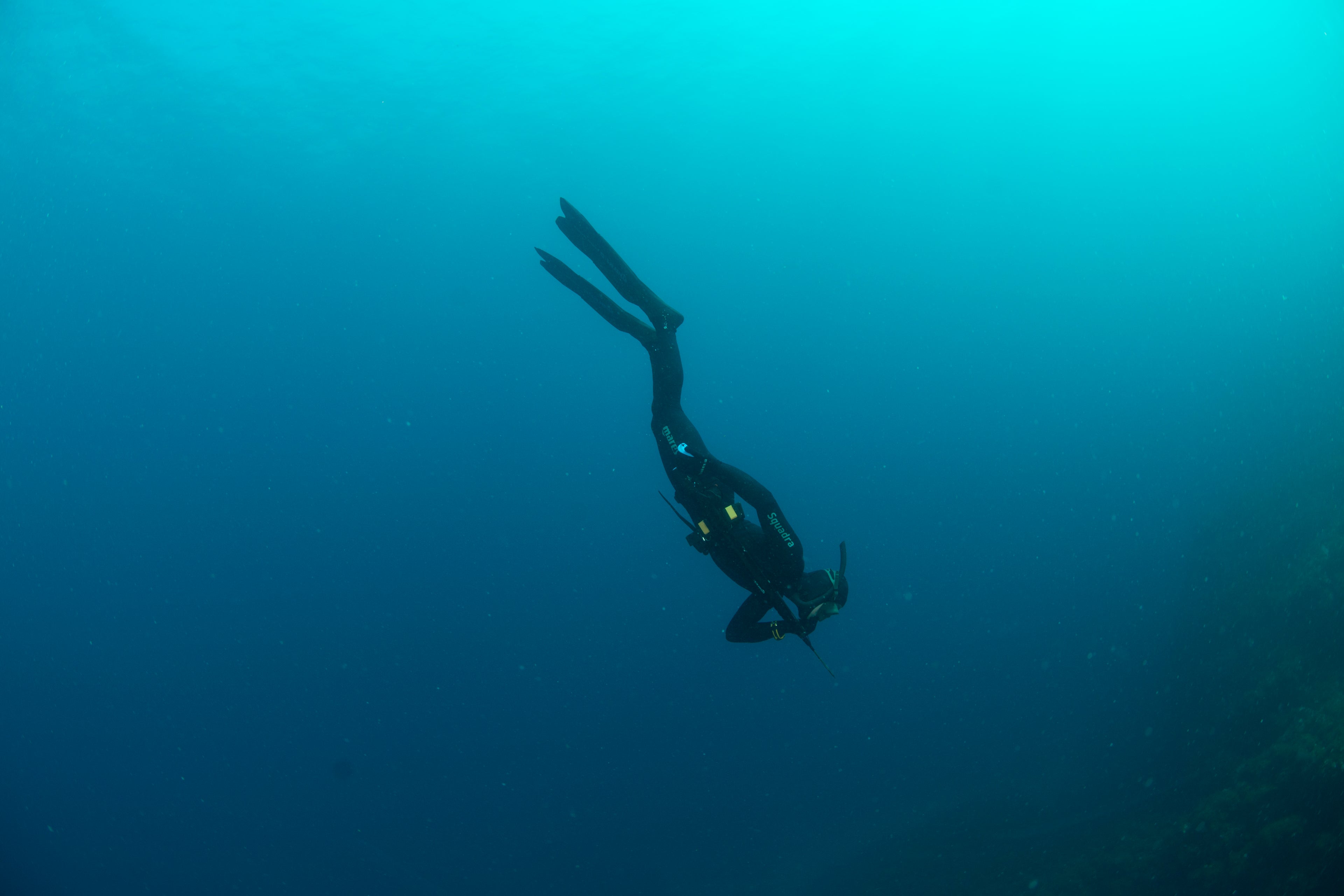 diver holding breath during freedive descent