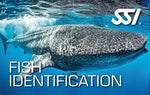 Specialty - Fish Identification