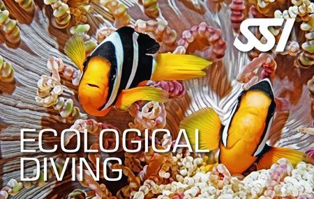 Specialty - Marine Ecology / Underwater Naturalist