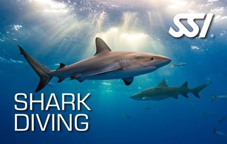 Specialty - Shark Ecology