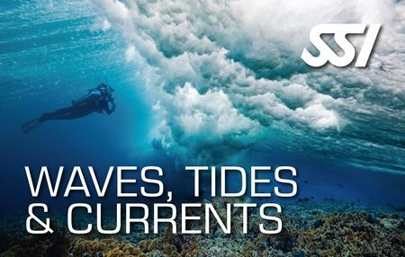 Specialty - Waves Tides and Currents Program